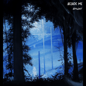 黄片三级免费无码
