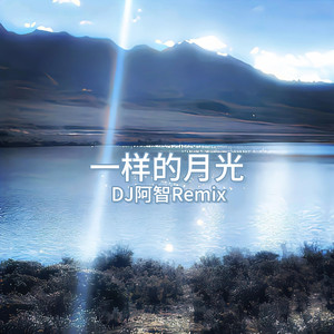 黄片三级免费无码
