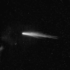 黄片三级免费无码
